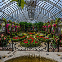 Phipps Conservatory And Botanical Gardens