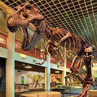 The Academy Of Natural Sciences Of Drexel University