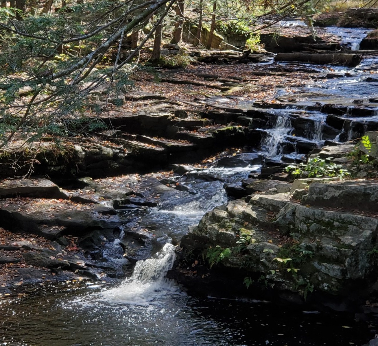 Promised Land State Park