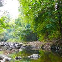 Bataan National Park