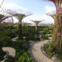 Gardens By The Bay