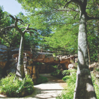 Singapore Botanic Gardens