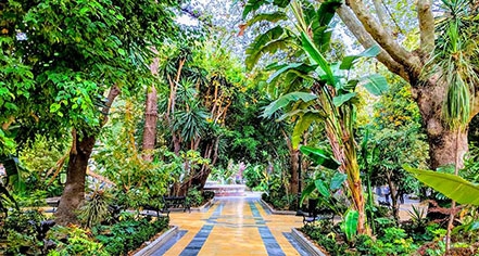 Parque De La Alameda