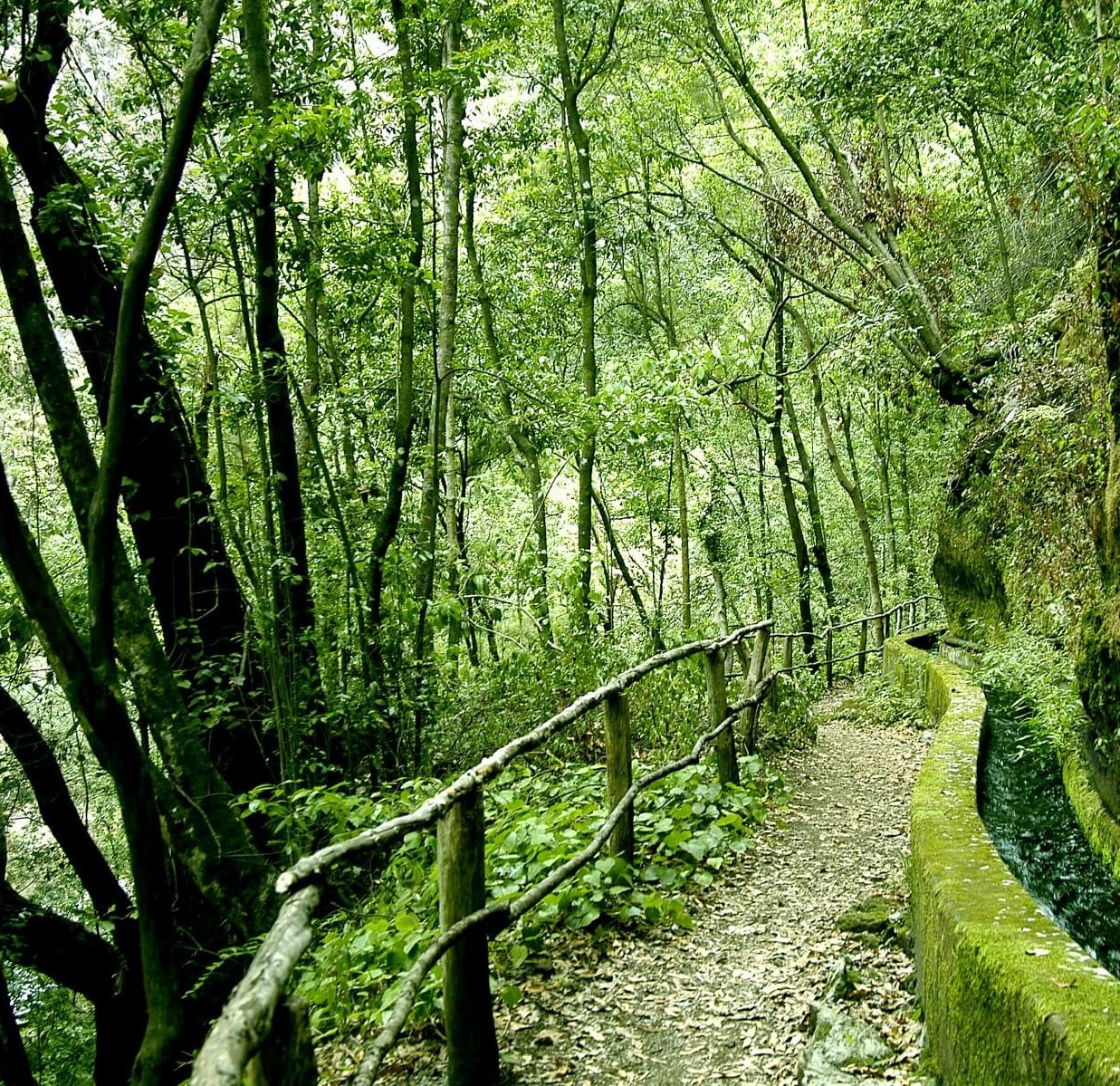 Area Recreativa Y Centro De Visitantes Los Tilos