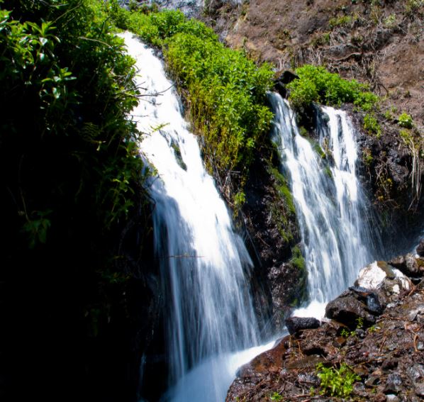 Nacientes De Marcos Y Cordero