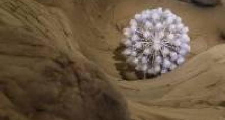 Gletschergarten Luzern