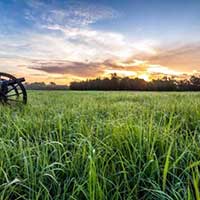 Stones River National Battlefield