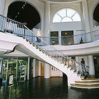 African American Museum Of Dallas