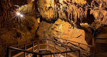 Natural Bridge Caverns