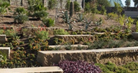 San Antonio Botanical Garden
