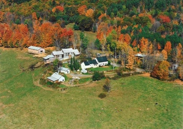 Sugarbush Farm