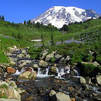 Mount Rainier National Park