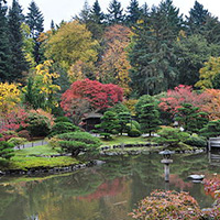 Seattle Japanese Garden