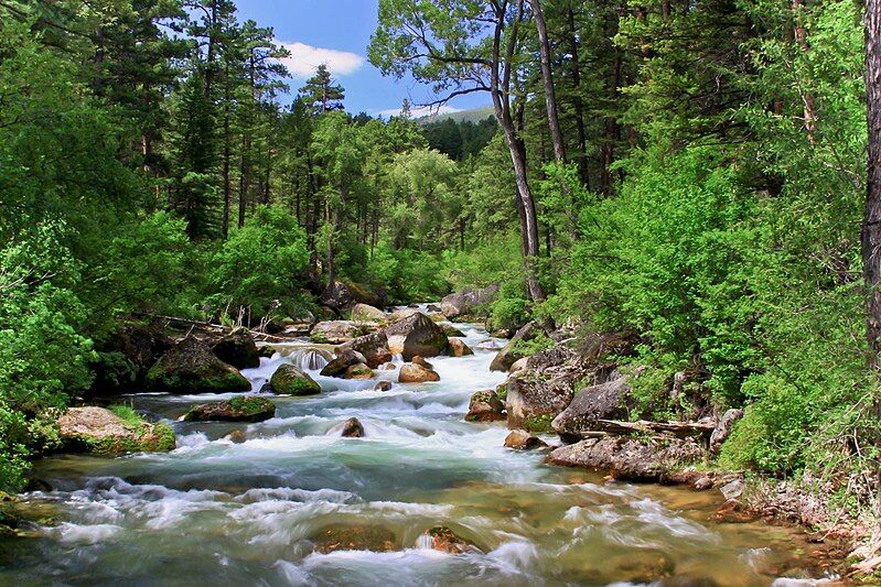 Big Horn National Forest