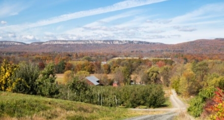 Carolee Schneemann Foundation