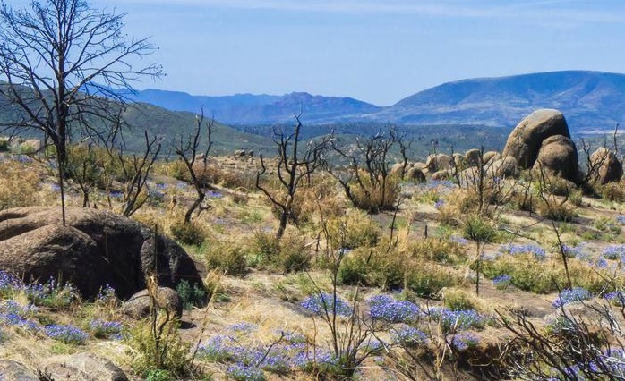 Explore Whiskey Row, Courthouse Plaza, the Sharlot Hall Museum, and the Phippen Museum just minutes away.