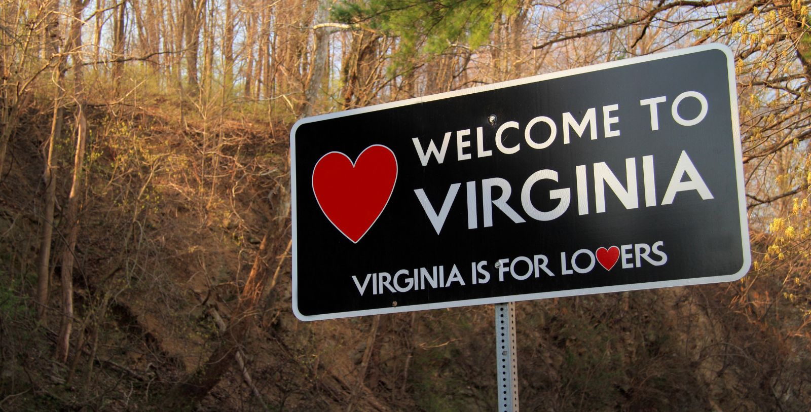 Enjoy the charming character of Wytheville, Virginia, which is recognized nationally for its historic preservation efforts.