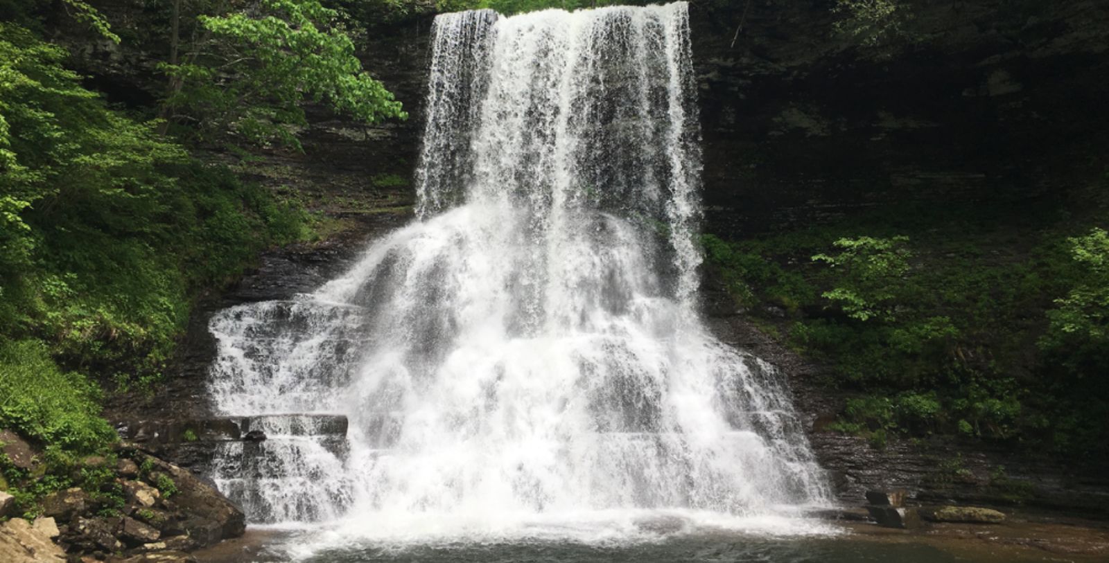 Explore Cascade Falls in the George Washington and Jefferson National Forest, led by a Mountain Lake Lodge’s Naturalist.