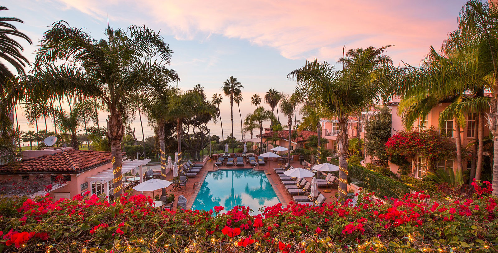 Explore the San Diego Zoo, the most visited zoo in the United States.