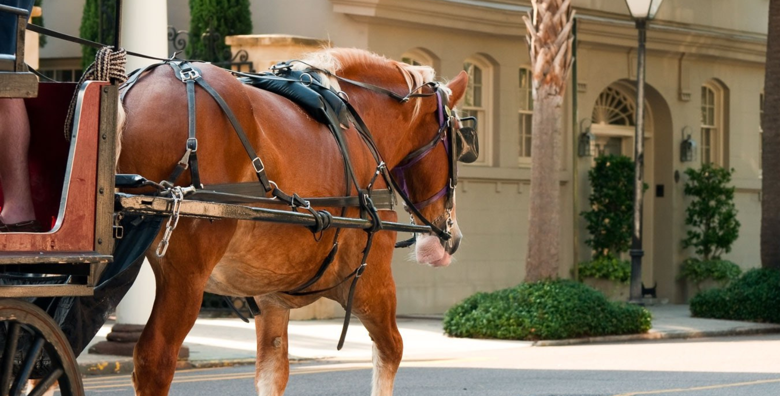 Experience Mission Trail and see the National Park System's most complete Spanish Colonial Mission.