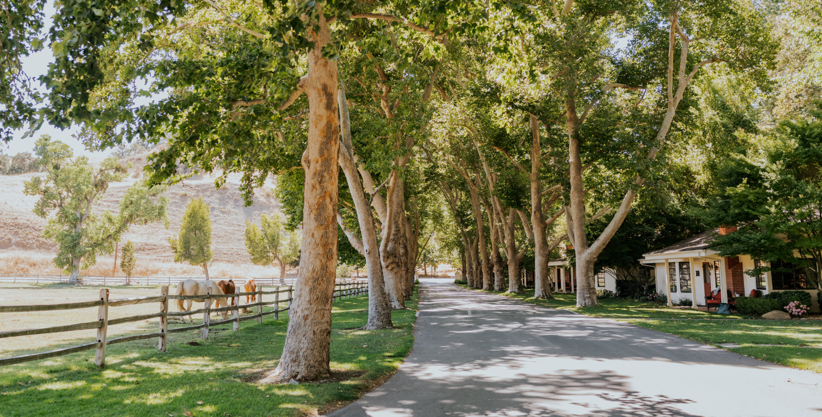 Exterior of Alisal Ranch