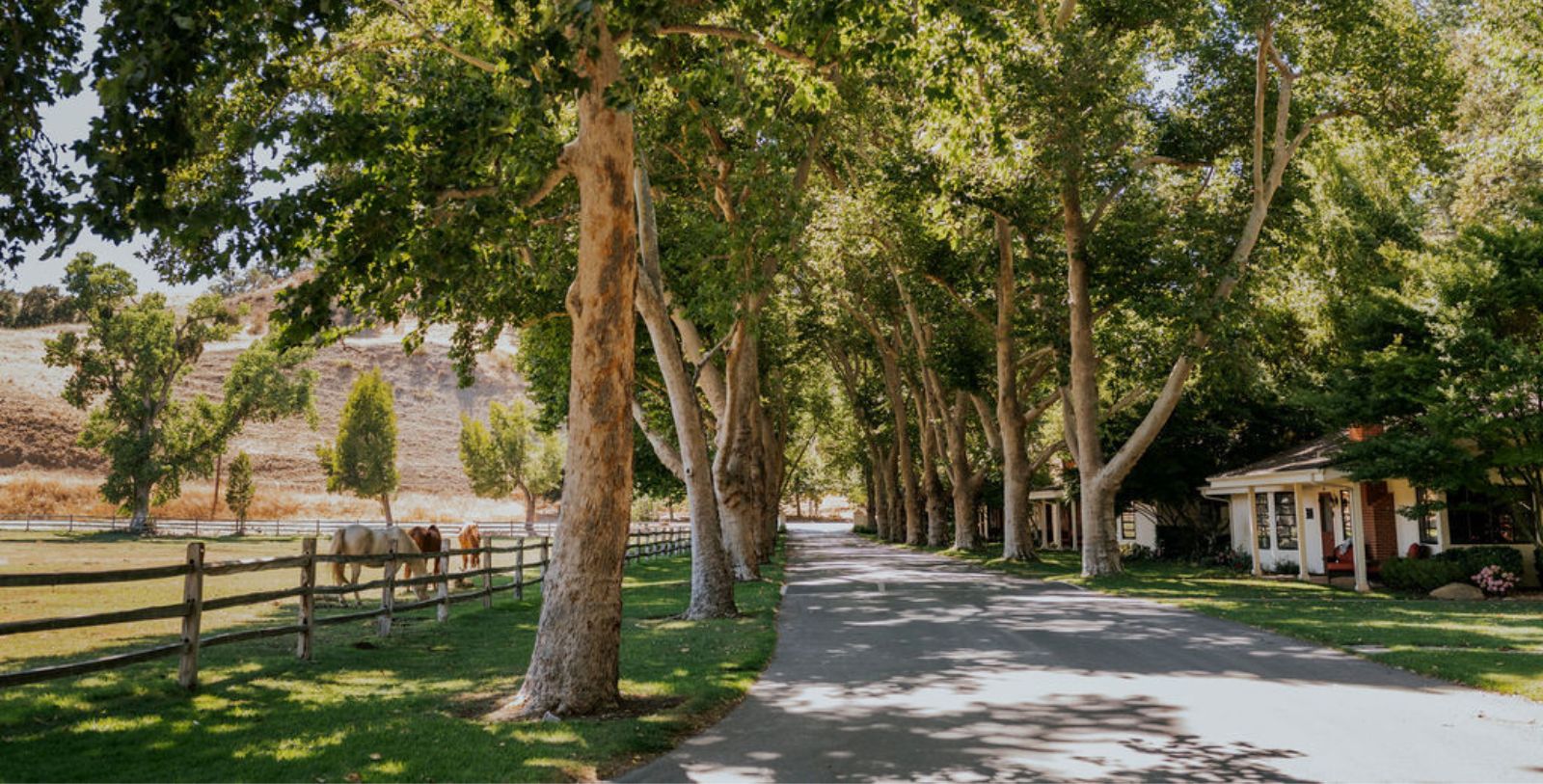 Image of the Front Entrance of The Alisal Guest Ranch & Resort, Overview