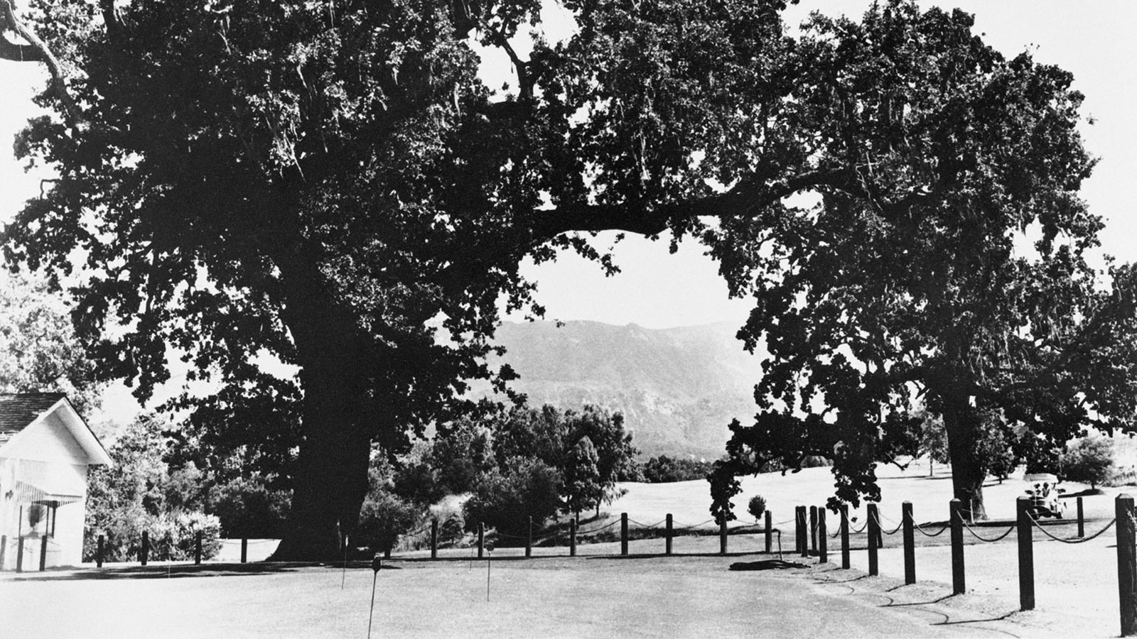 Discover the inherent beauty of the Santa Ynez Valley from Alisal Ranch.