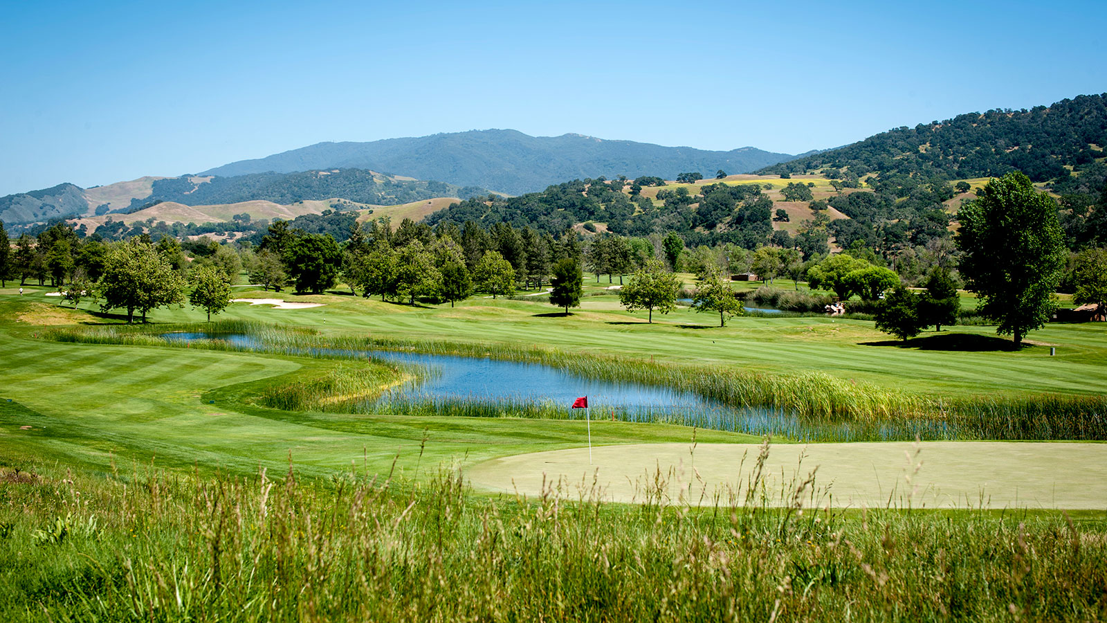 Experience Alisal Ranch.