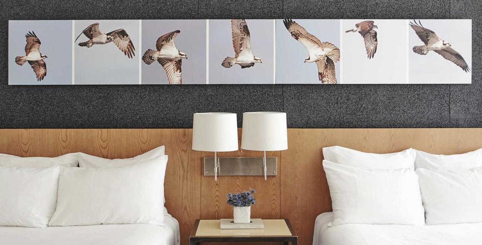 Image of guestroom 21c Museum Hotel Louisville by MGallery, 1800, Member of Historic Hotels of America, in Louisville, Kentucky, Hot Deals