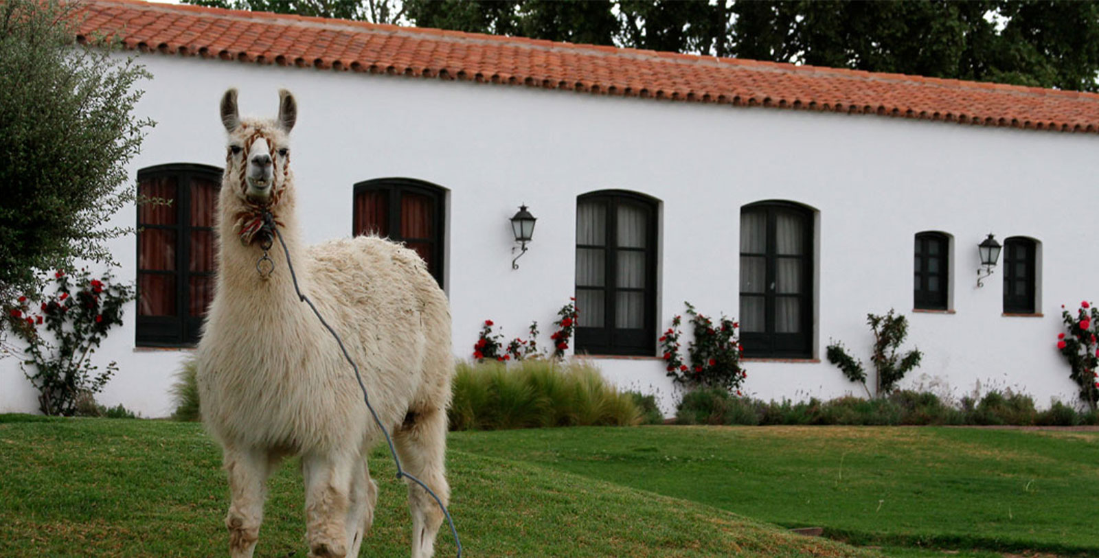 Tour the rural communities of El Divisadero, Corralito or San Carlos, and learn some local customs and skills such as weaving and cooking.