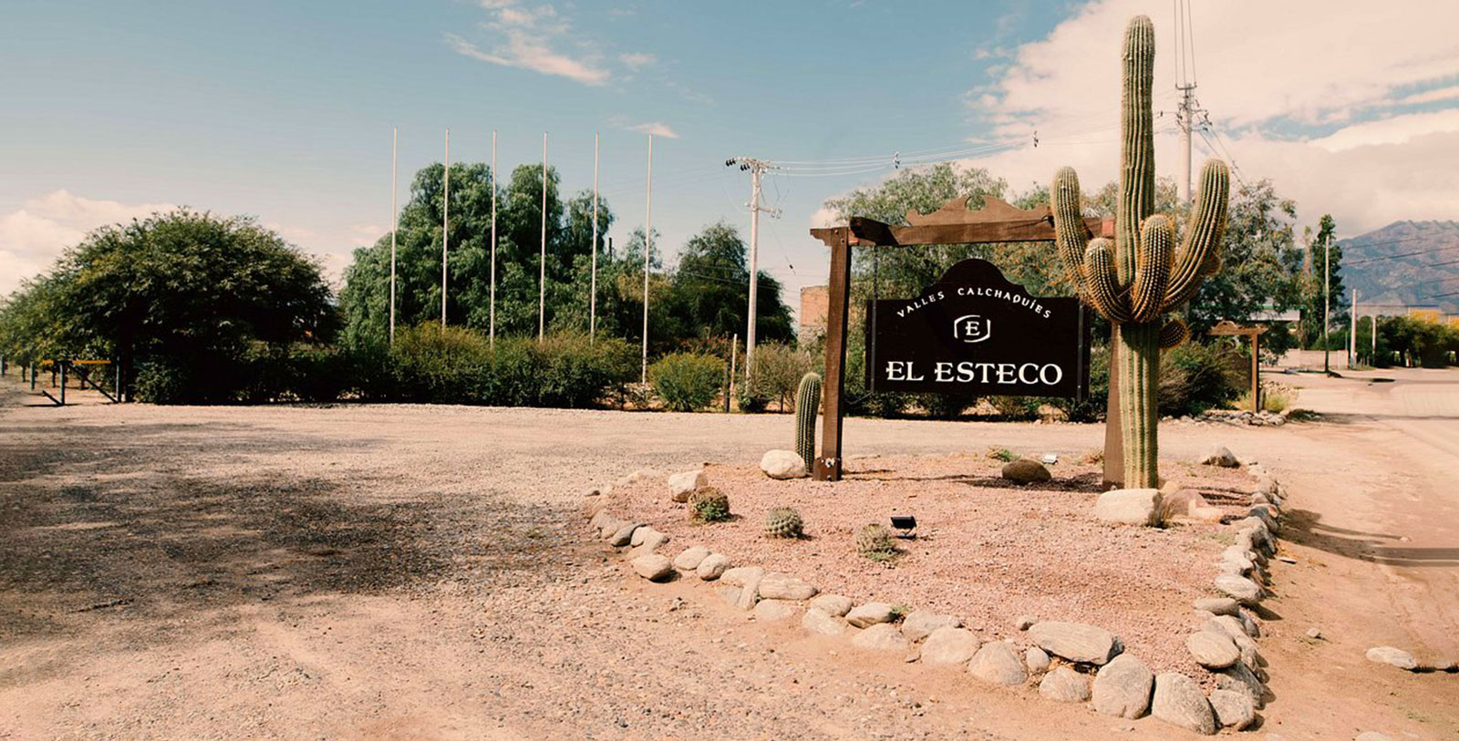 Experience breathtaking views of the Calchaquí Valleys on a horseback ride.