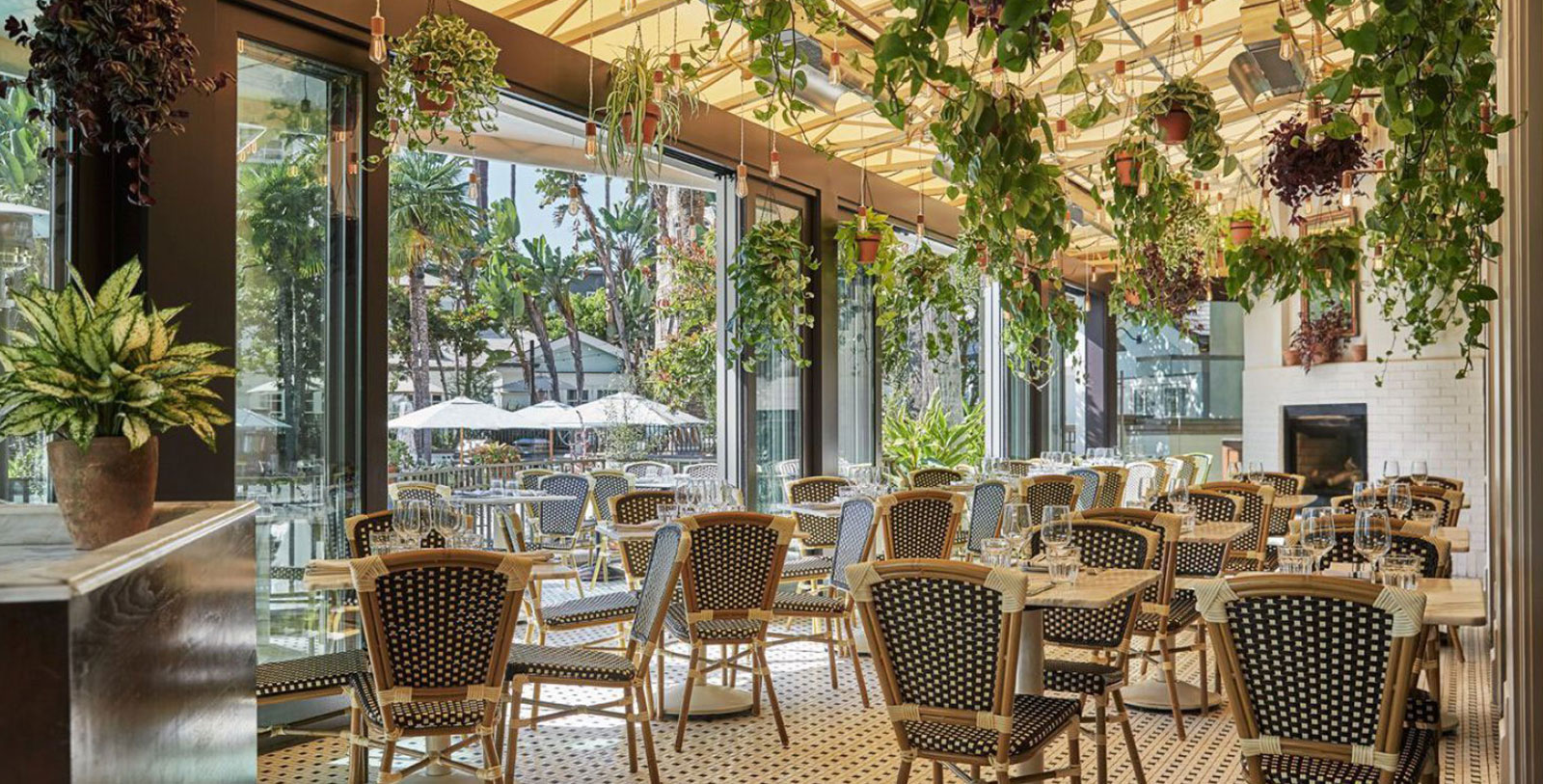 Image of Fig Restaurant Fairmont Miramar Hotel & Bungalows, 1921, Member of Historic Hotels of America, in Santa Monica, California, Dining