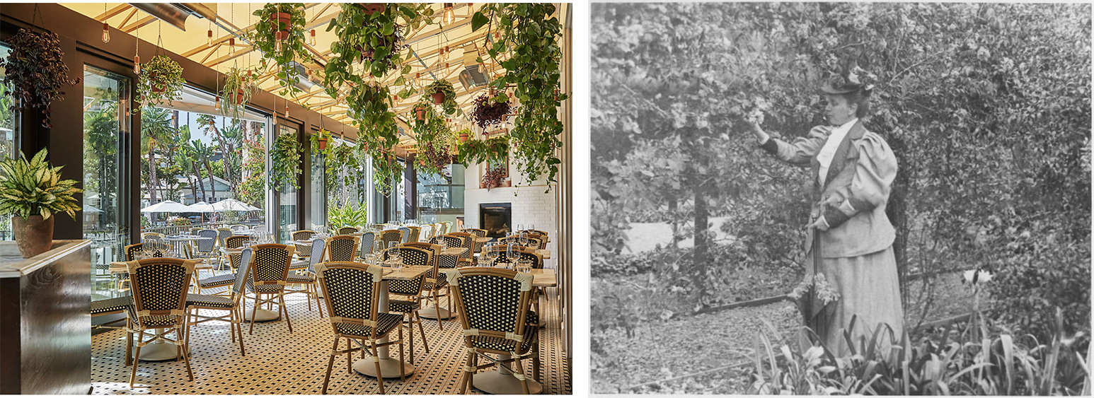 Historic Image of Georgina Jones and FIG Restaurant