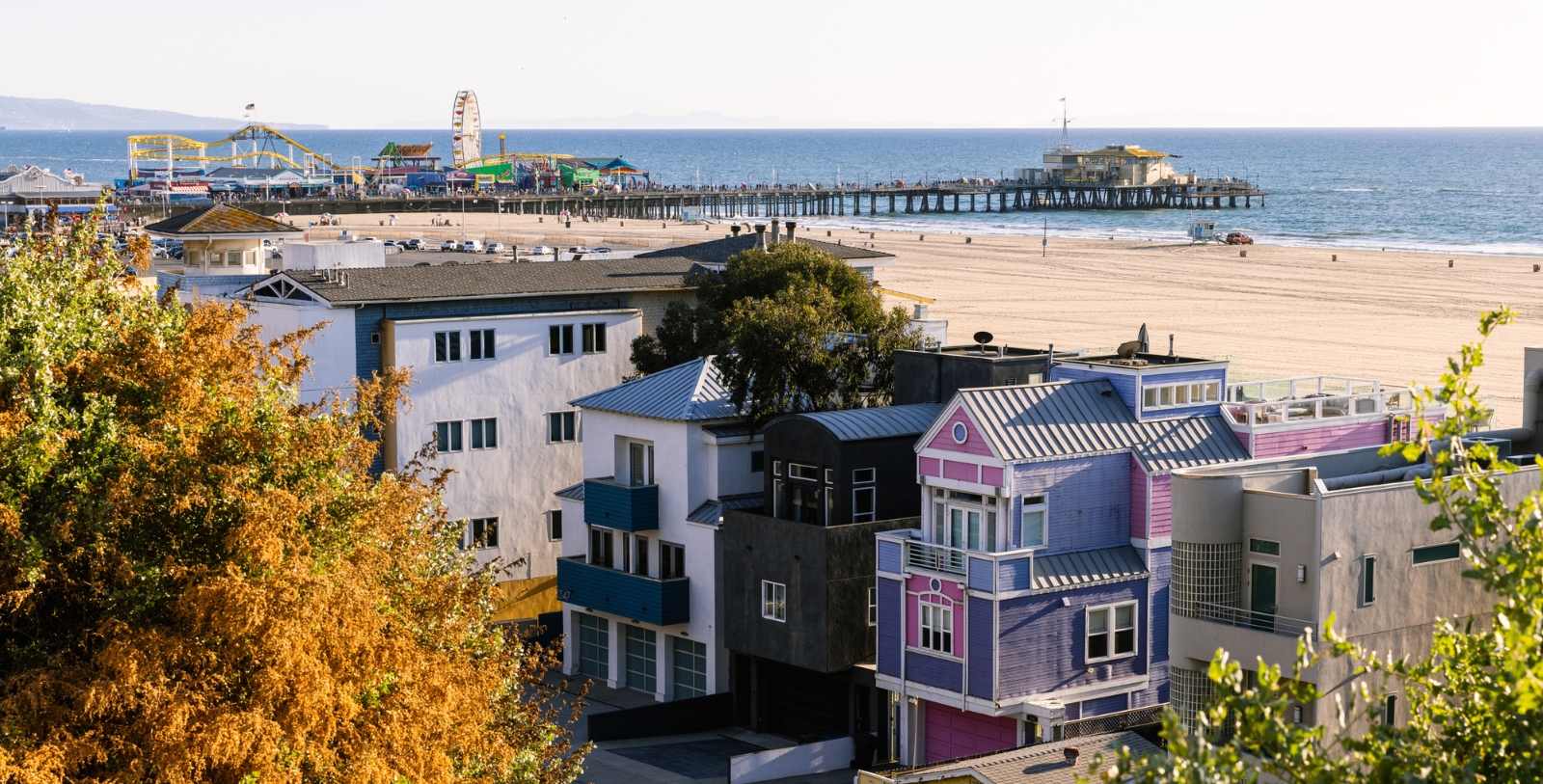Explore the history of surfing at Santa Monica’s local history centers.