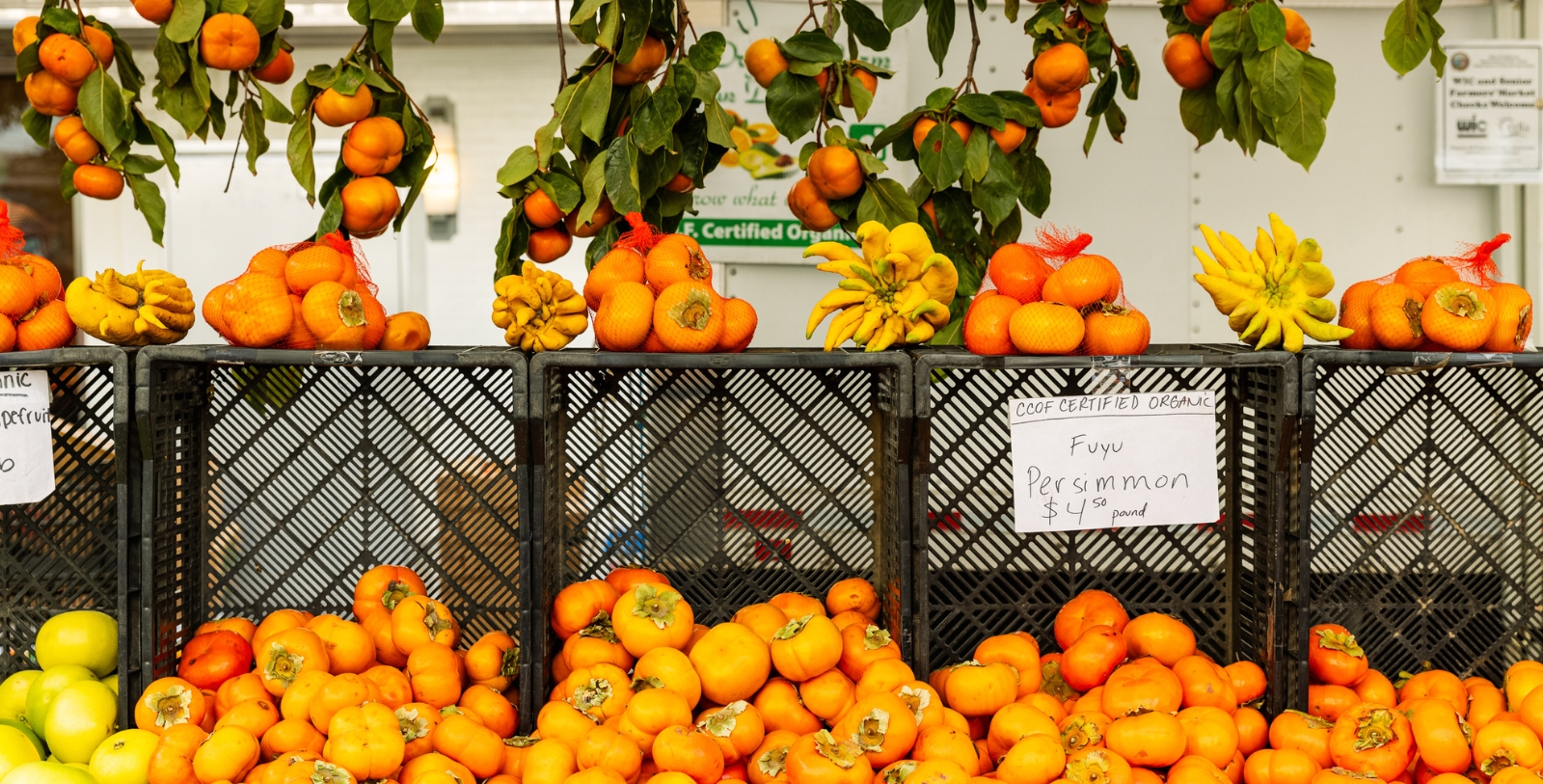 Taste the fresh flavors of coastal California.