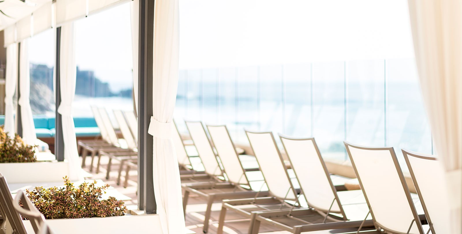 Experience some of the most exciting water-based activities at the Dana Point Harbor.