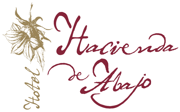 
    Hotel Hacienda de Abajo
 in Santa Cruz de Tenerife