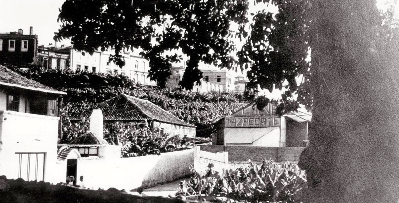 Image of Historic Exterior, Hotel Hacienda de Abajo, 1493, Member of Historic Hotels Worldwide, Santa Cruz de Tenerife, Spain, History