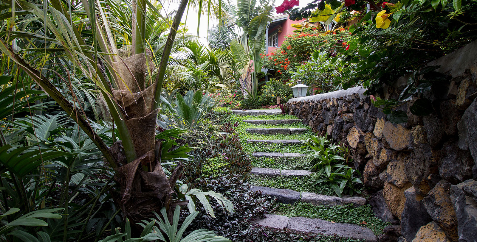 Experience La Caldera de Taburiente National Park.