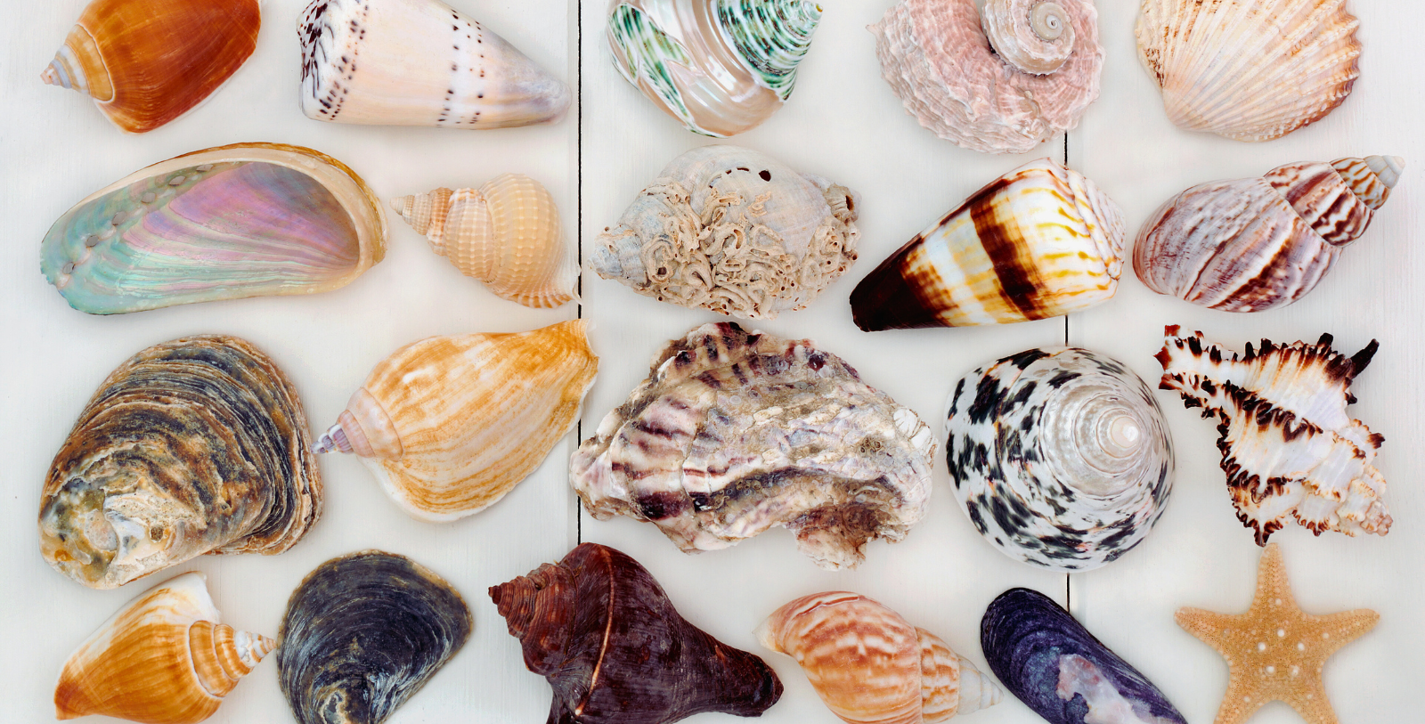 Image of exterior aerial view of Heritage Hotel Kaštelet, 1766, a Member of Historic Hotels Worldwide since 2024 in Tučepi, Croatia