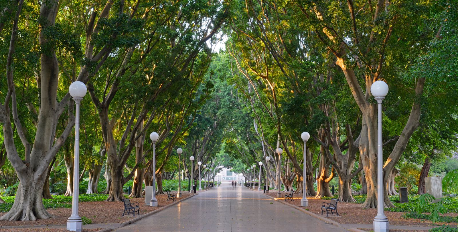 Explore the oldest public park in Sydney, Hyde Park which is located just a few minutes walk from the hotel.