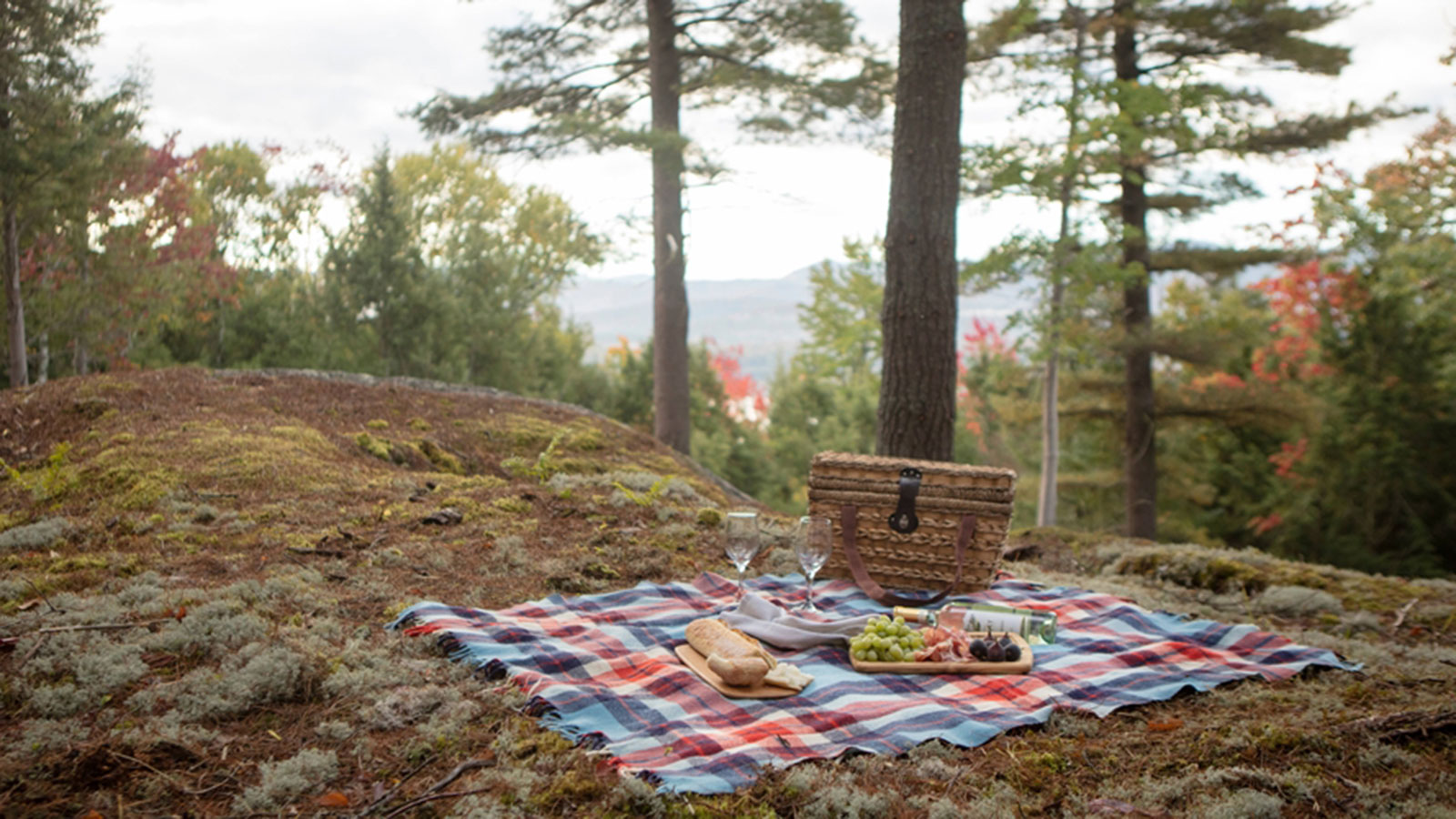 Explore Saranac 6ers trails.