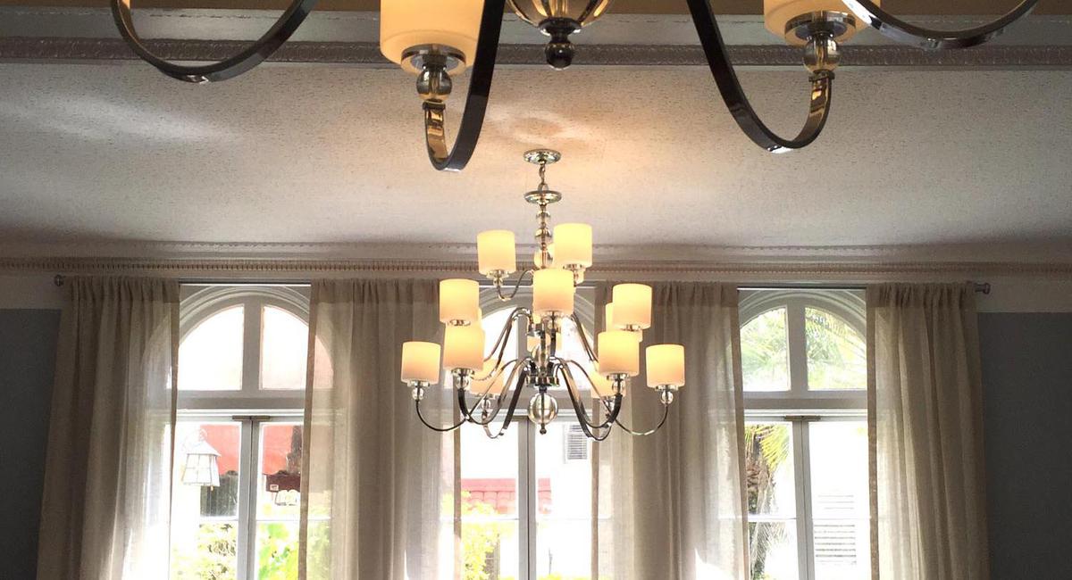 Experience a Jungle Cruise through the Wakulla Springs State Park.