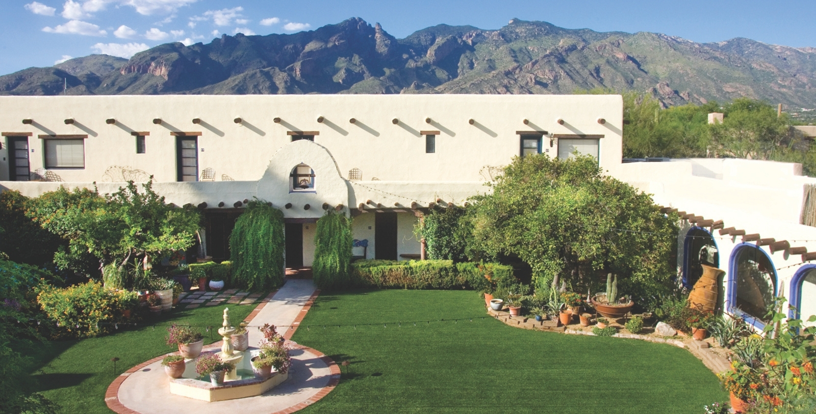 Explore the natural wonders of the Sonoran Desert.