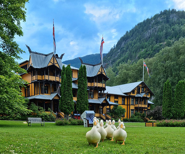 Dalen-Hotel-ducks-garden.jpg