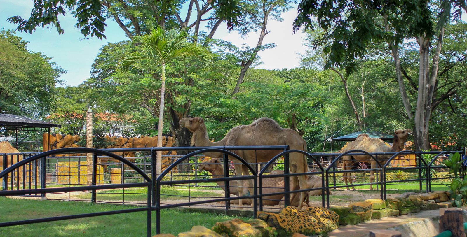 Travel to The Phillips Collection and the Smithsonian’s National Zoo within minutes of the hotel. Check out the hip neighborhood of Dupont Circle.