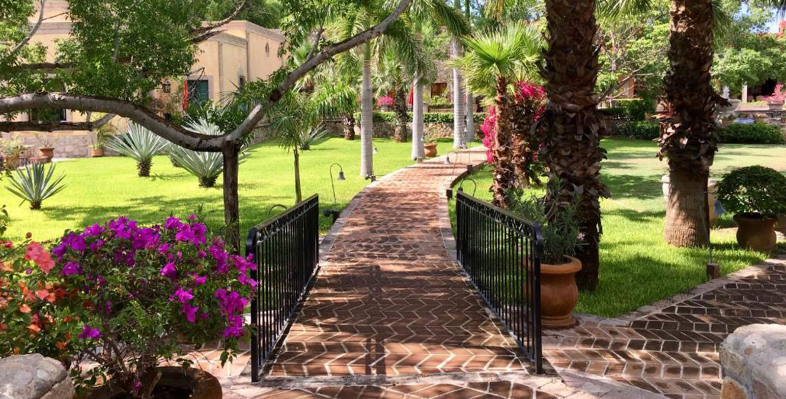 Experience the Área Natural Protegida Sierra de Álamos.