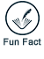 Fun Fact