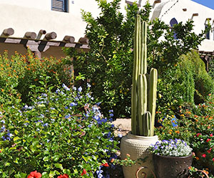 Hacienda Del Sol Guest Ranch Resort