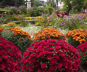 The Saint Paul Hotel